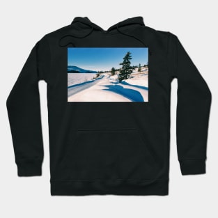 Cross-County Ski Run in Norwegian Winter Landscape Shot on Film Hoodie